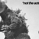 Illustration for article titled Godzilla Rat Found in China